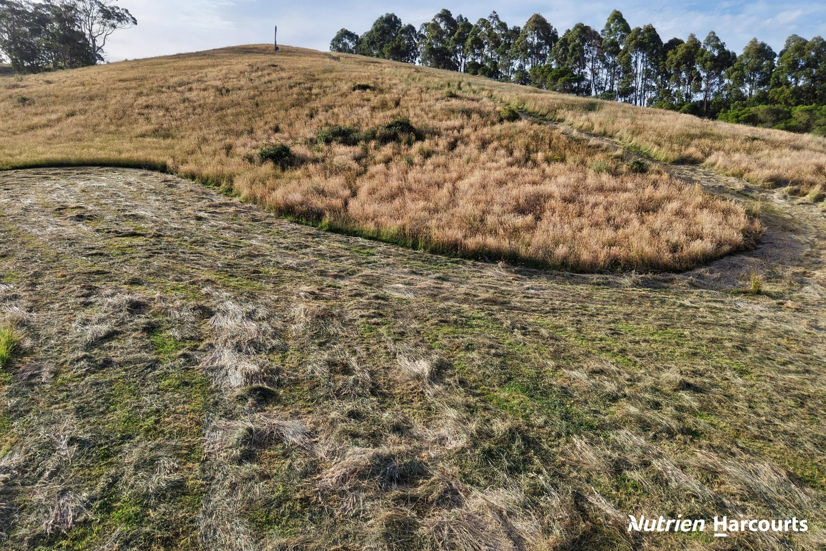 Additional image 35 of 482 Old Whitelaws Track, Devon North VIC 3971