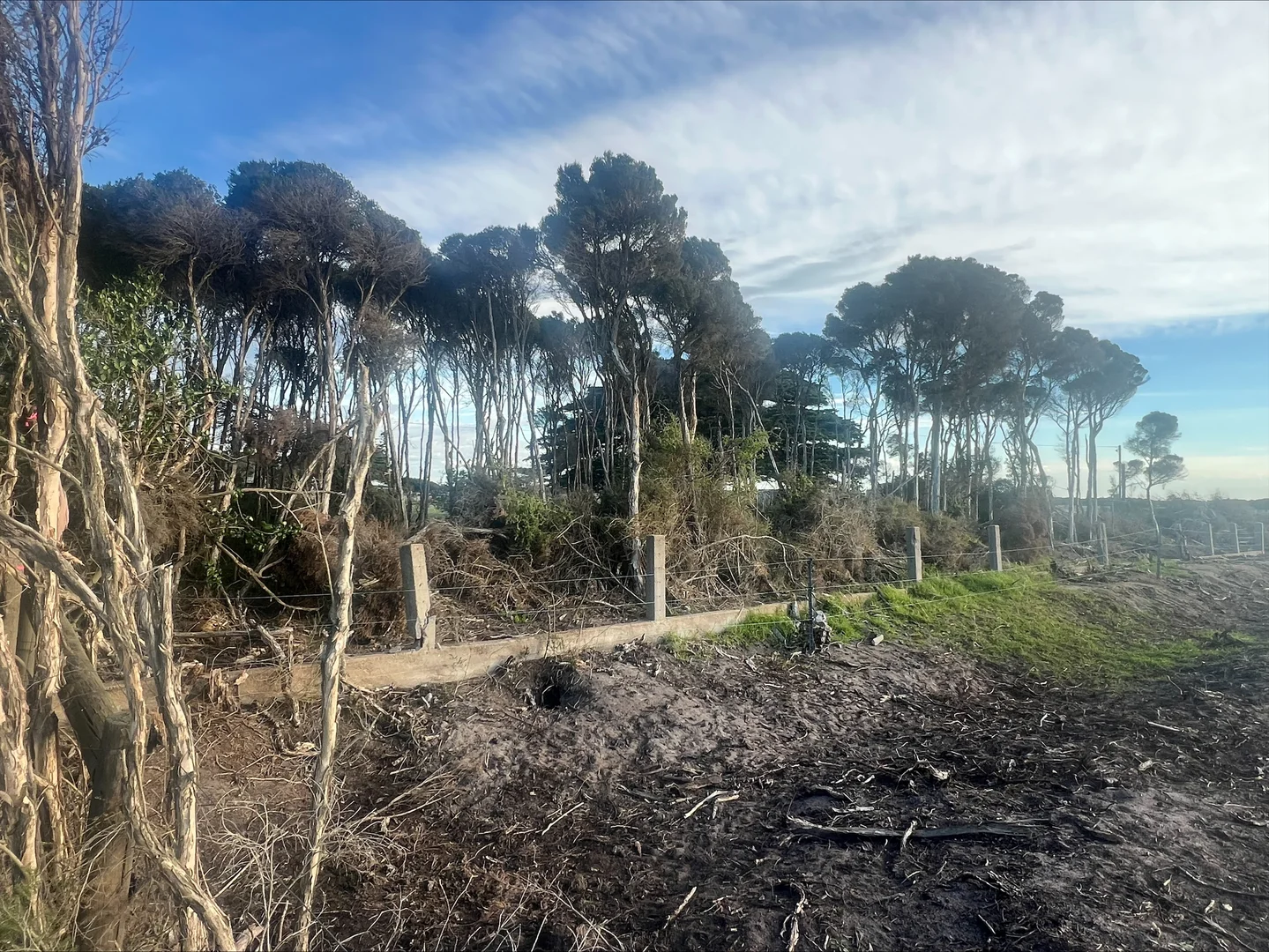 Additional image 14 of . Butter Factory Road, Whitemark TAS 7255