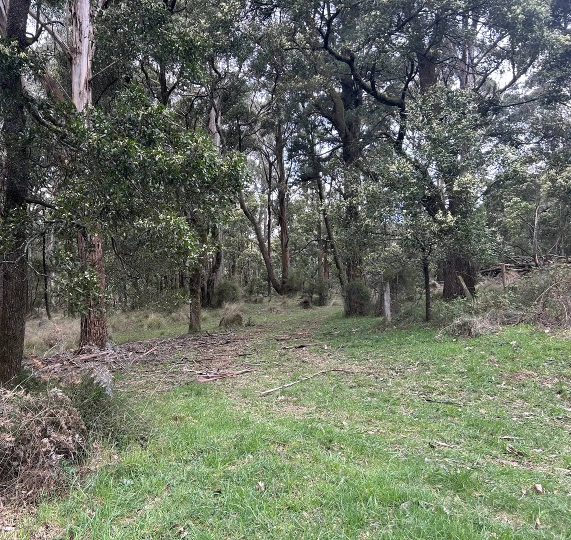 Additional image 3 of 975 Daylesford-Trentham Road, Bullarto VIC 3461