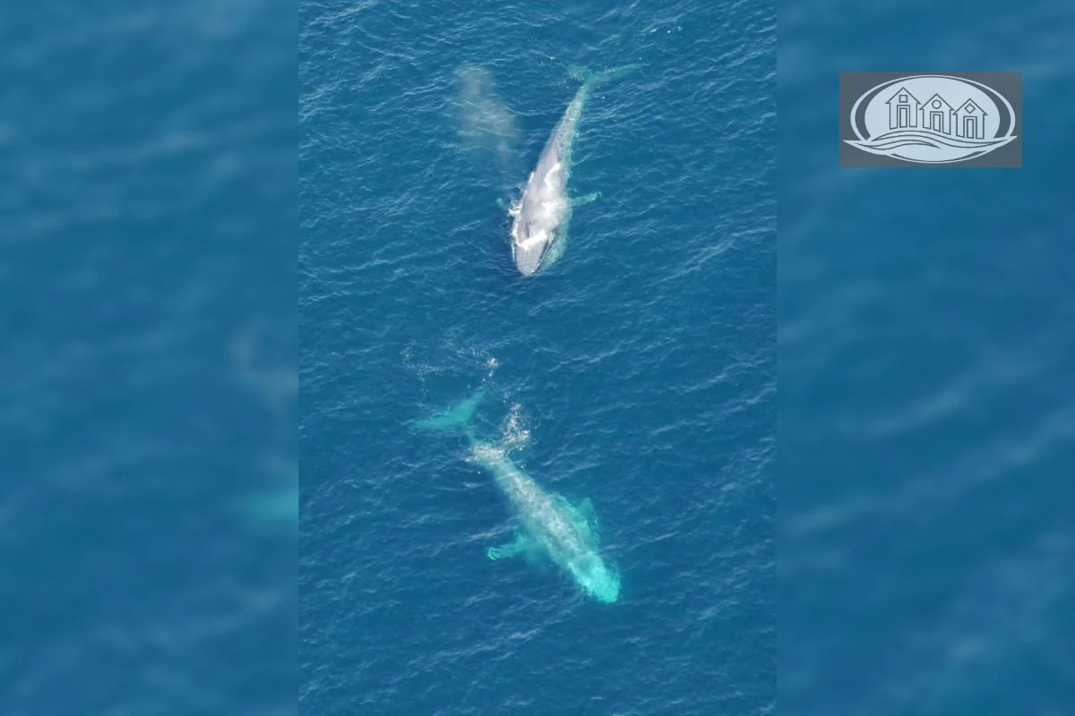 Additional image 15 of 24 Richardson Street, Portland VIC 3305