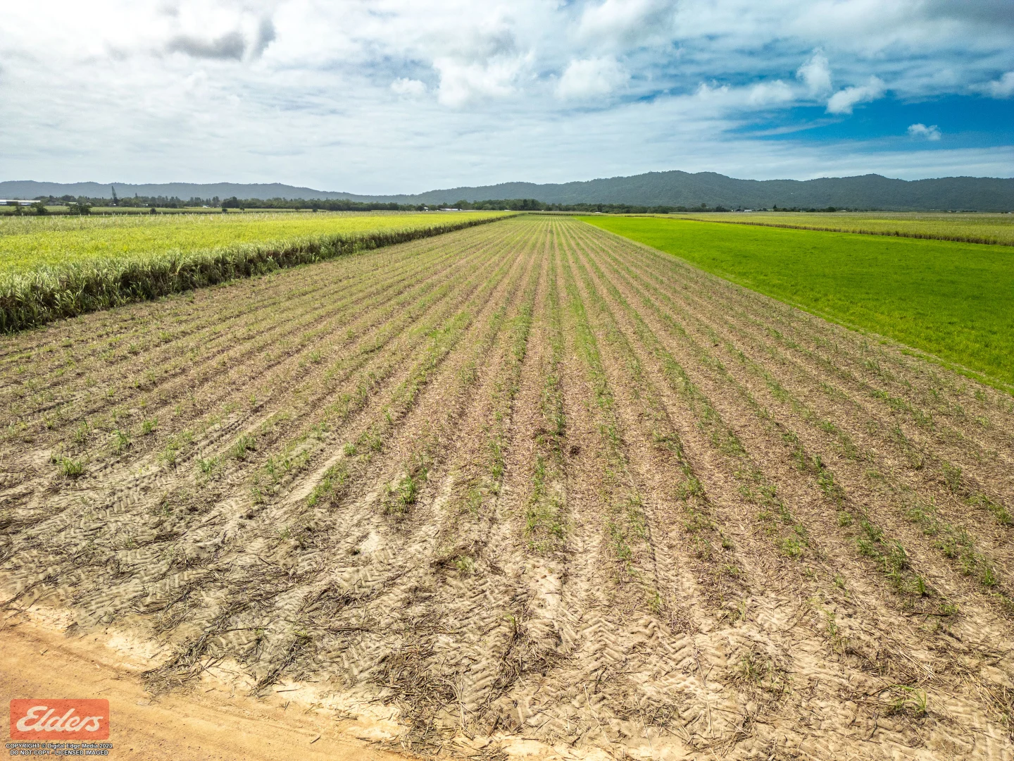 Additional image 13 of 318 Mourilyan Harbour Road, Mourilyan QLD 4858