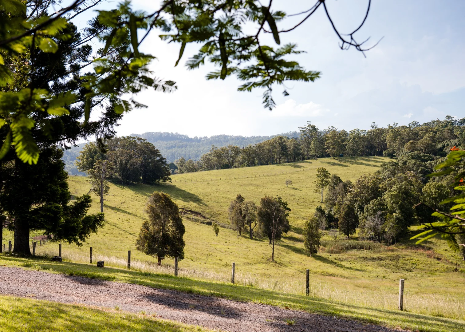 Additional image 15 of 94 Hutchinson Road, Nimbin NSW 2480