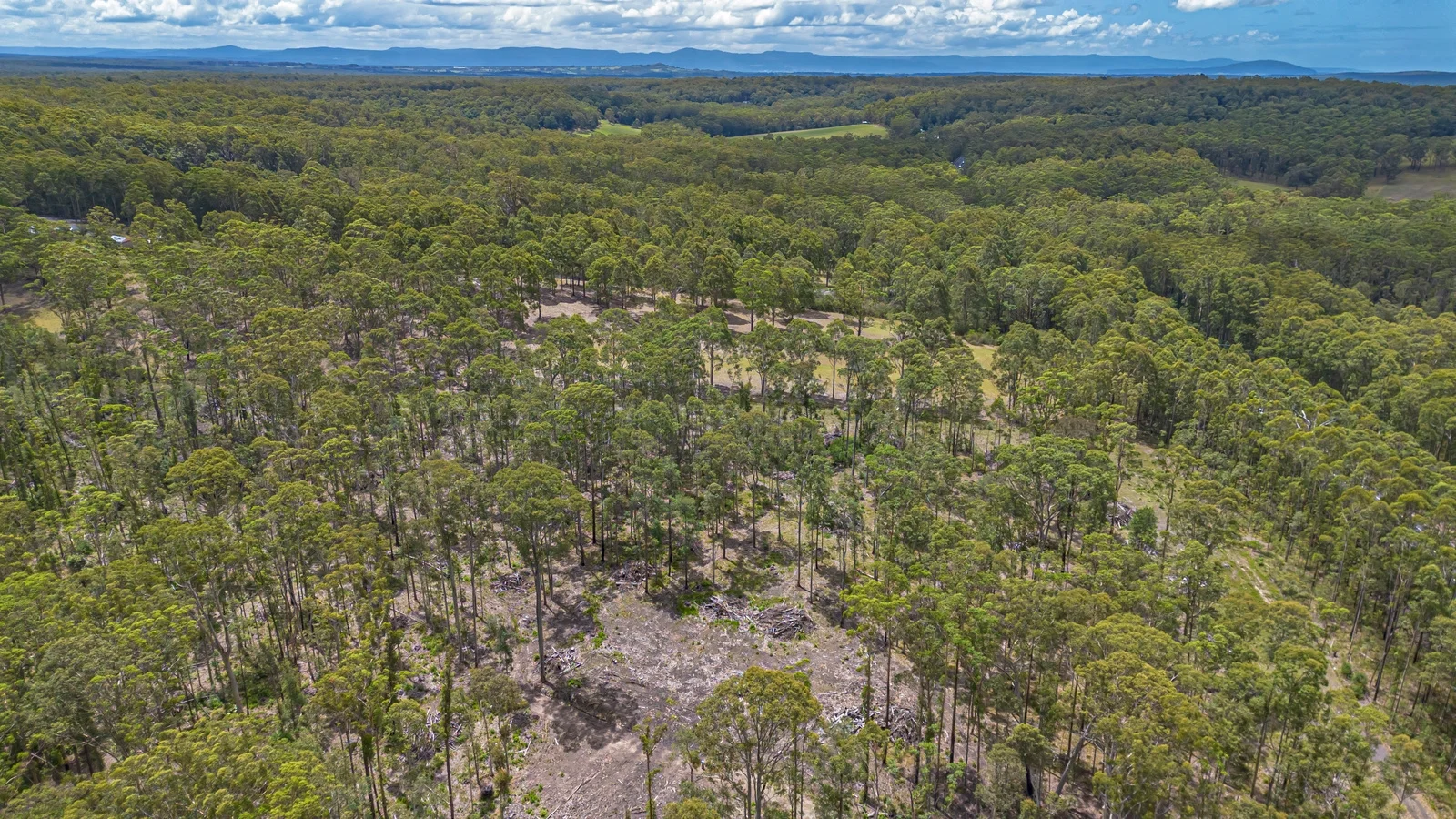 Additional image 15 of 42 Turpentine Road, Tomerong NSW 2540