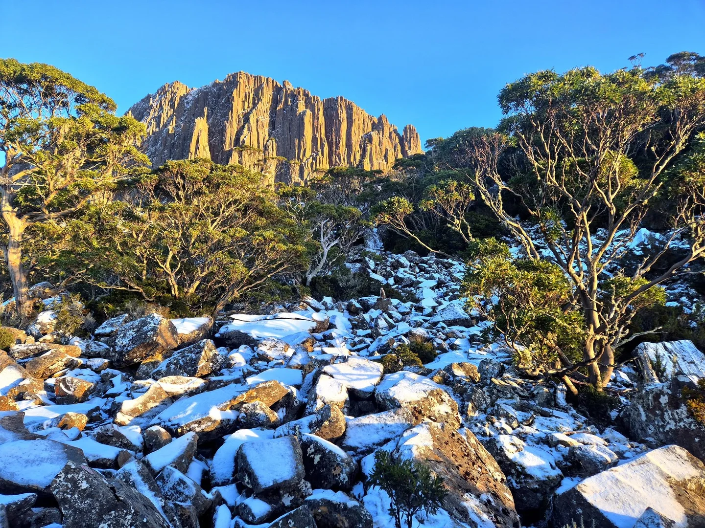 Additional image 18 of 8 Walter Street, Rossarden TAS 7213