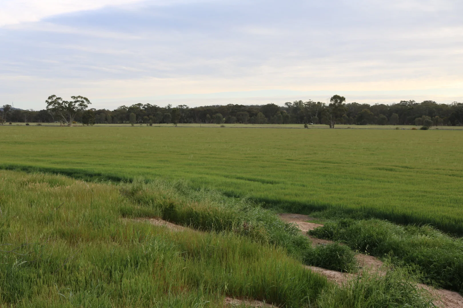 Additional image 13 of Maxwells Lane, Korong Vale VIC 3520