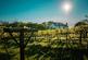 Additional image 5 of Llanboidy, Whitland, SA34