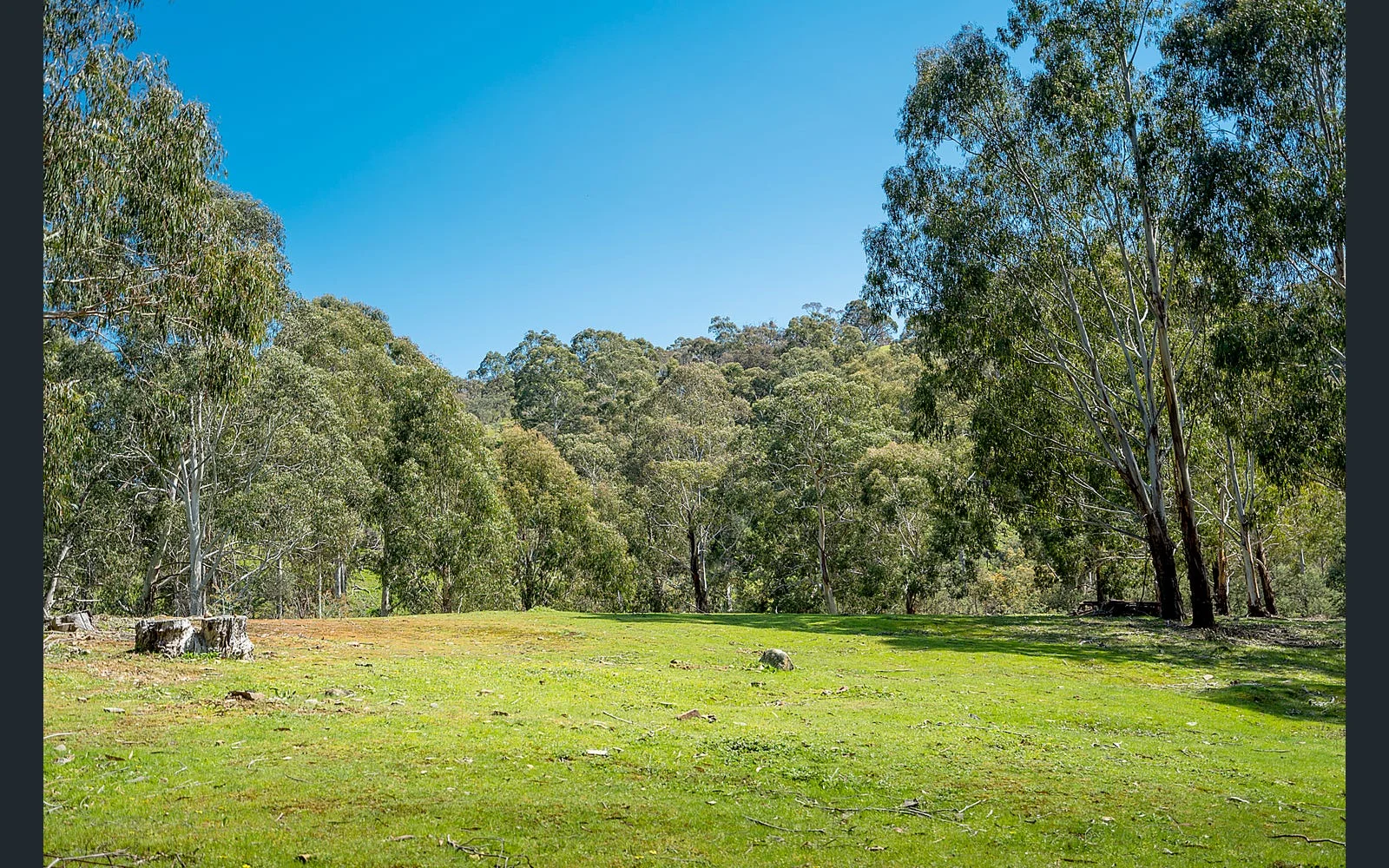 Additional image 3 of 21 Doyle Street, Reedy Creek VIC 3658