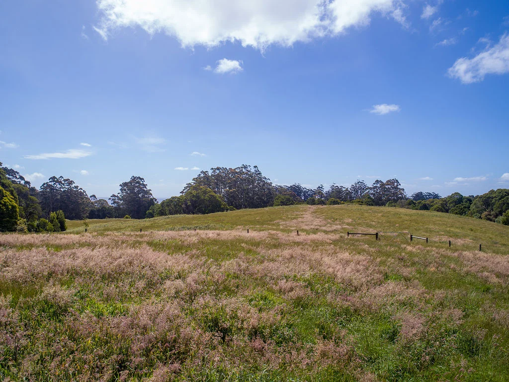 Additional image 5 of 19A, B & C Lavers Hill-Cobden Road, Lavers Hill VIC 3238