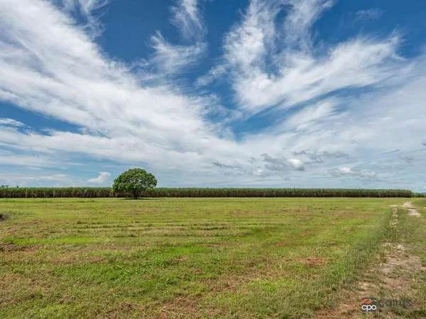 Additional image 22 of 322 Mourilyan Harbour Road, Mourilyan QLD 4858