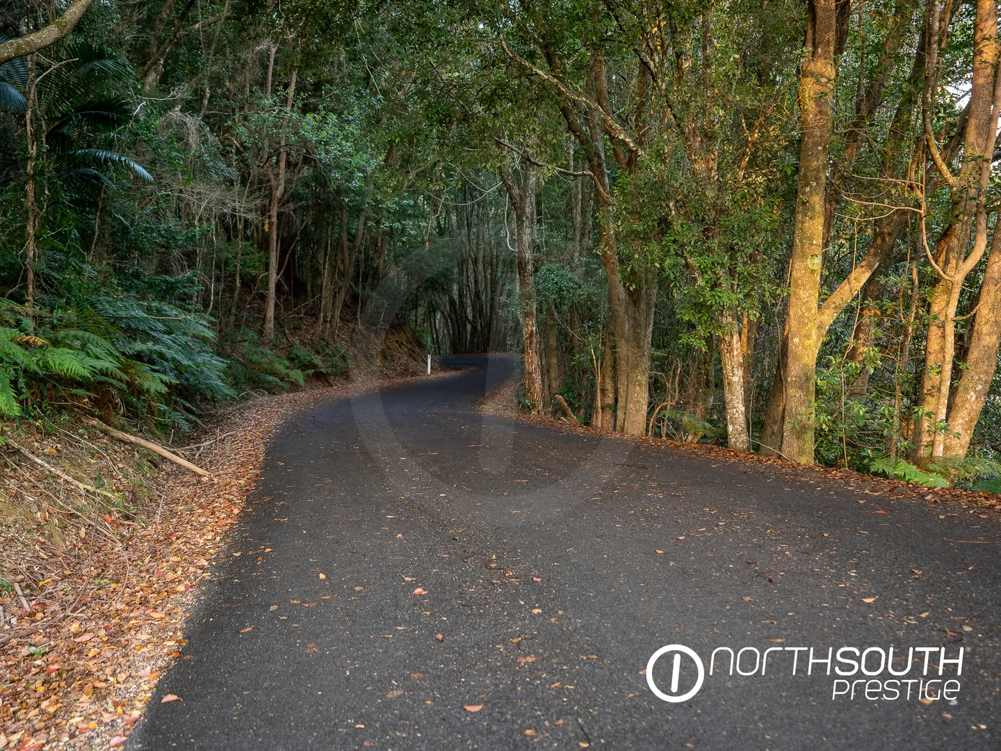 Additional image 27 of 653-681 Nobbys Creek Road, Nobbys Creek NSW 2484