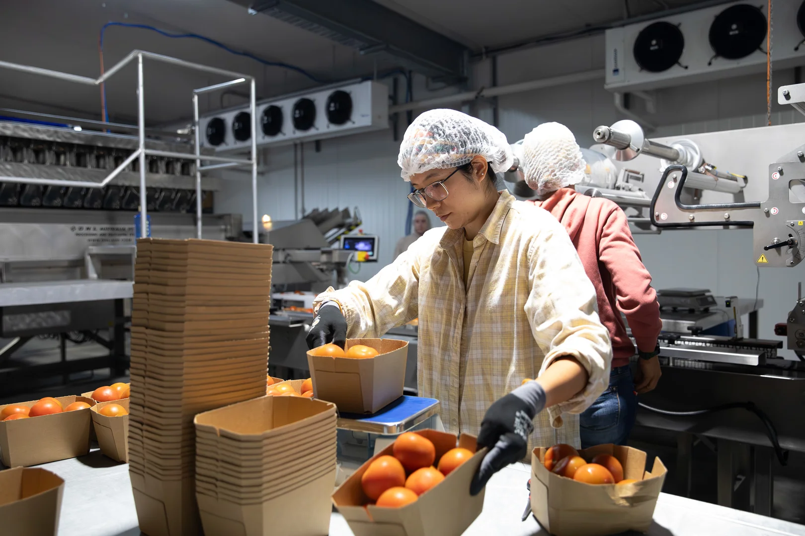 Additional image 16 of 37 Inveroona Road, Bowen QLD 4805