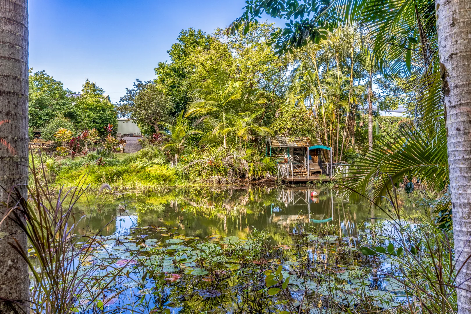 Additional image 28 of 116 Woombye Palmwoods Rd, Palmwoods QLD 4555