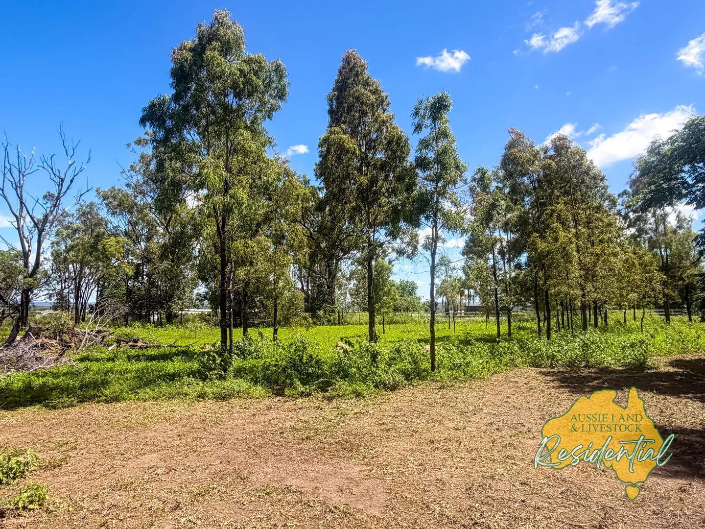 Additional image 40 of 21 SPRYS ROAD, Boynewood QLD 4626
