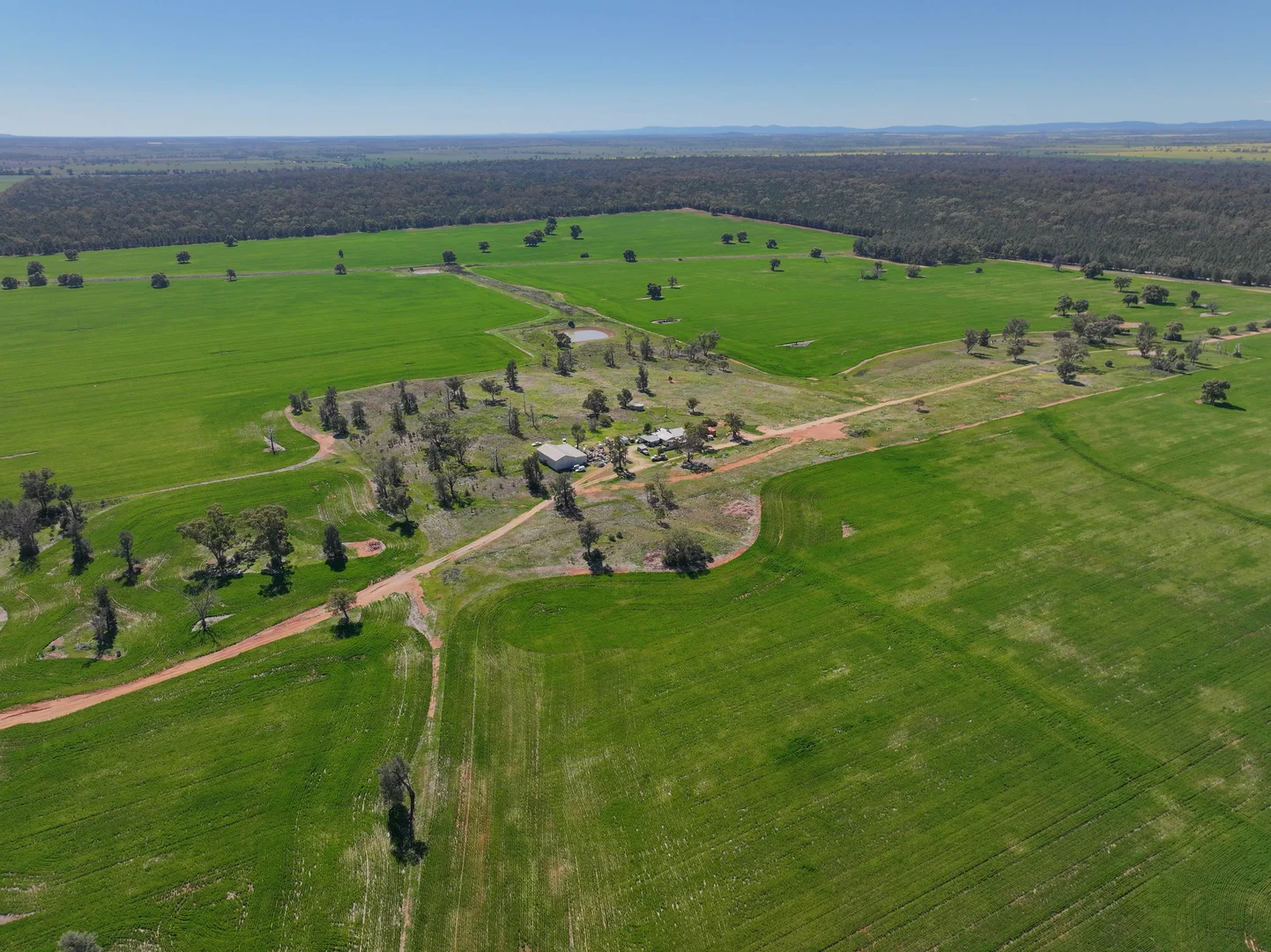 Additional image 24 of 2666 Henry Parkes Way, Gunningbland NSW 2876