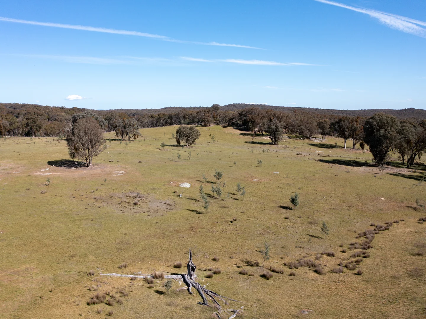 Additional image 7 of 3/7 East Triangle Road, Byawatha VIC 3678