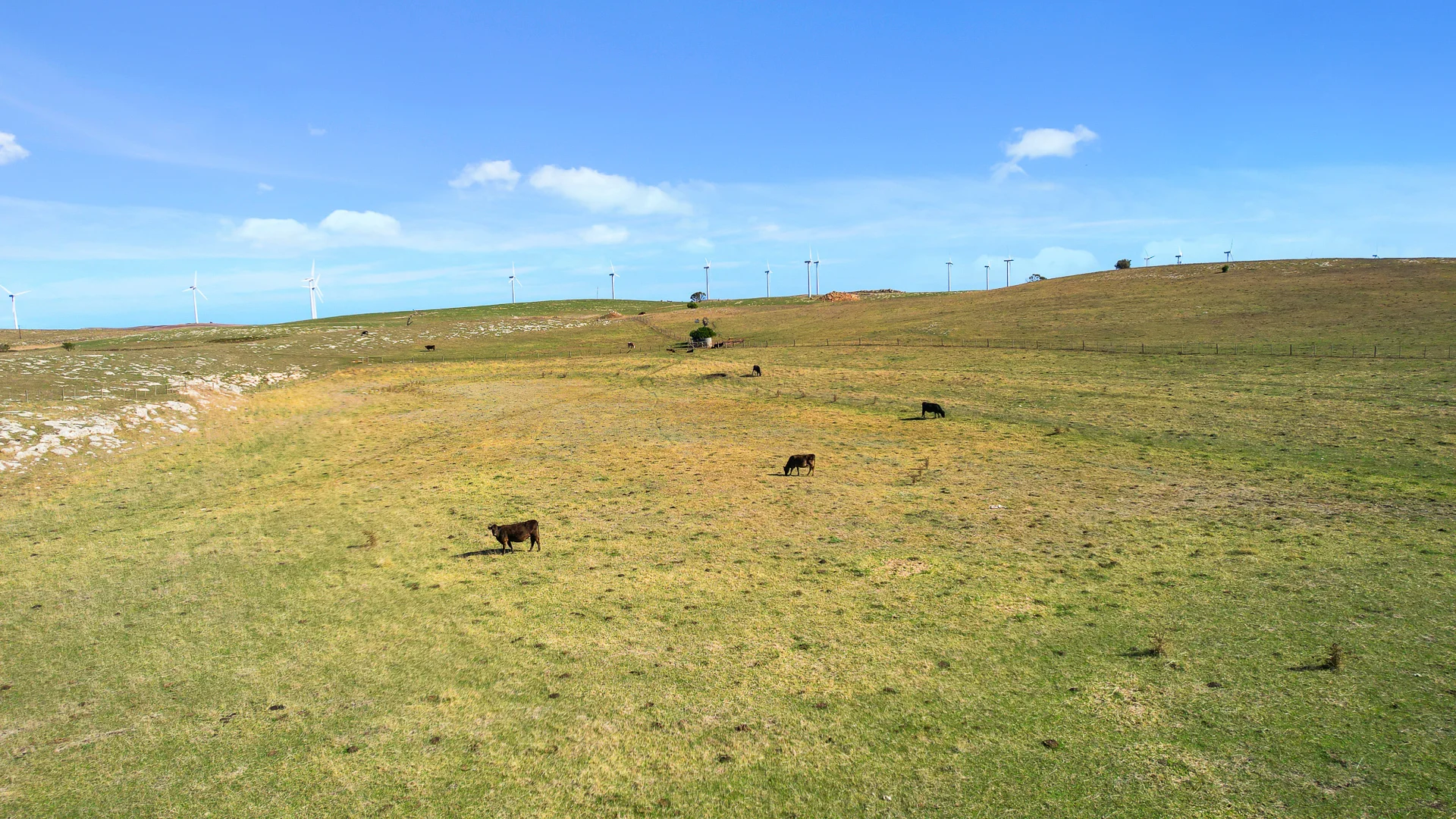 Additional image 6 of 359 Boundary Rd, Tantanoola SA 5280