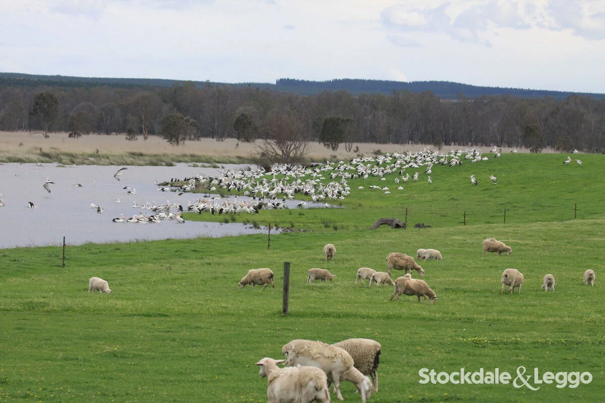 Additional image 37 of Pearsondale VIC 3851