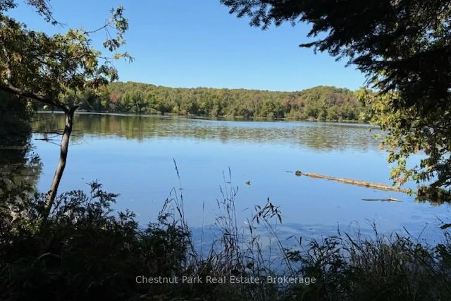 Additional image 11 of 596244 Concession 10