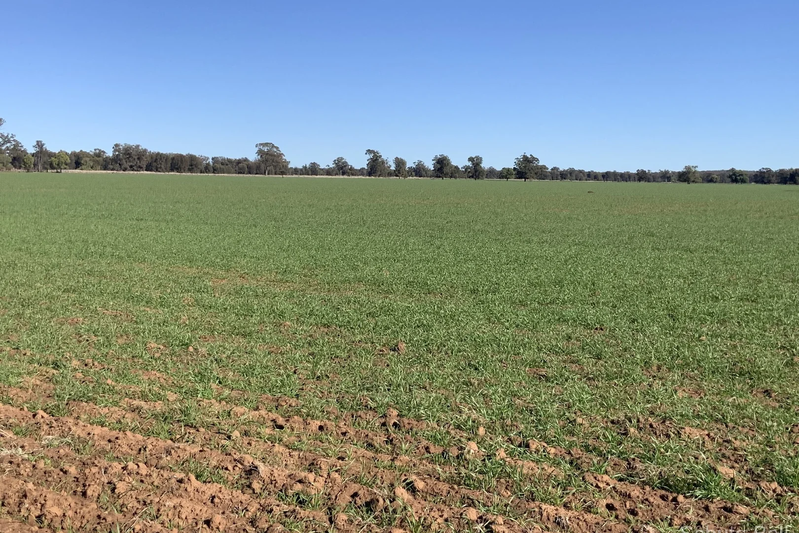 Additional image 7 of 195 Curra Lane, Peak Hill NSW 2869