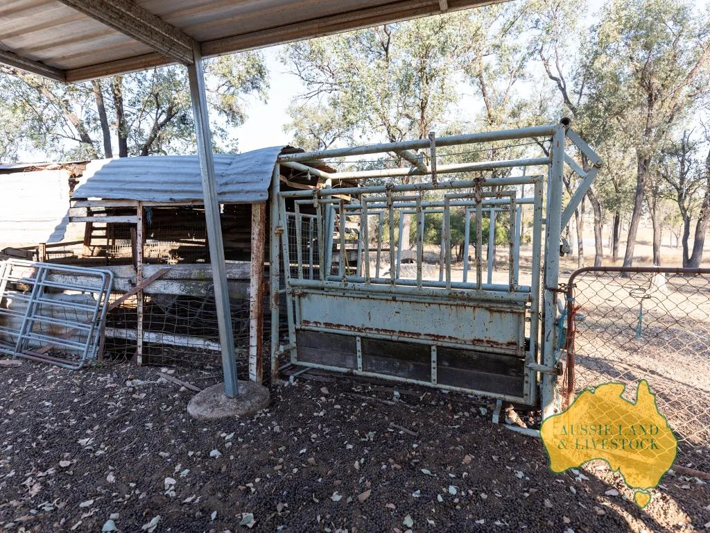 Additional image 18 of 110 BENHAMS ROAD, Mundubbera QLD 4626