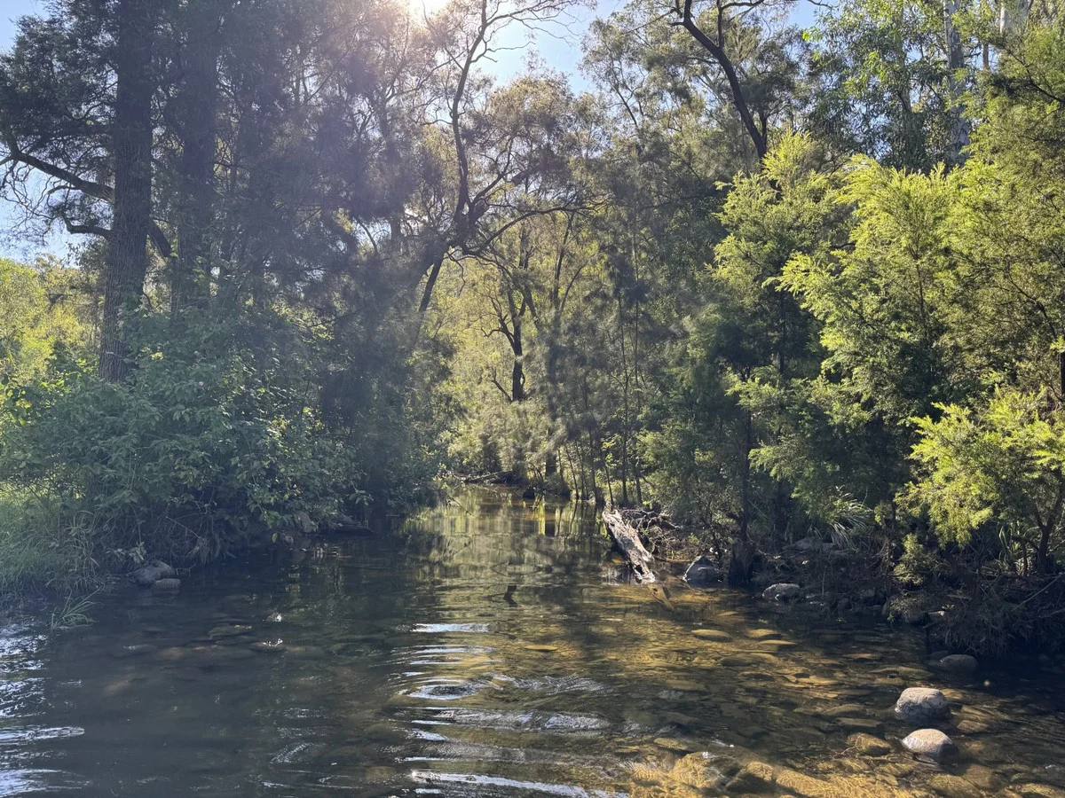 Additional image 5 of 845 Fireclay Road, Kalpowar QLD 4630