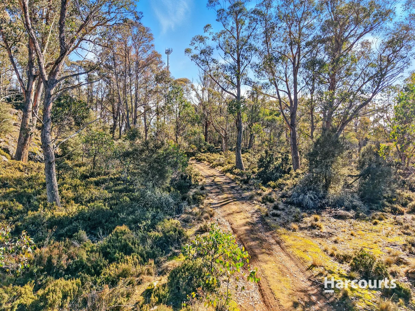 Additional image 18 of Lots 808, 809 & 810 Johnsons Road, Miena TAS 7030