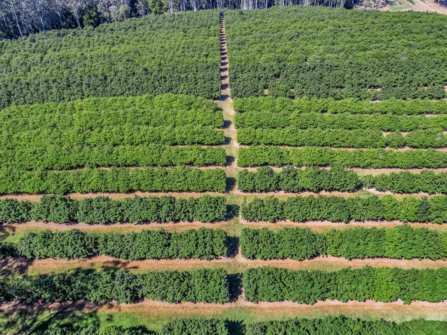 Additional image 13 of Pacific Highway, Eungai Creek NSW 2441