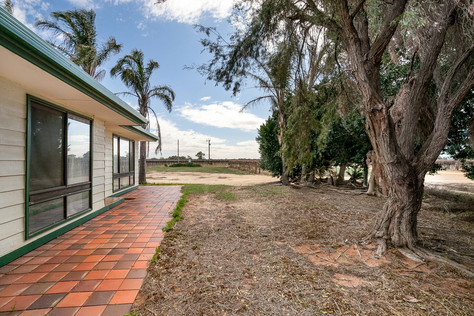 Additional image 5 of 41 Wutke Road, Cobdogla SA 5346