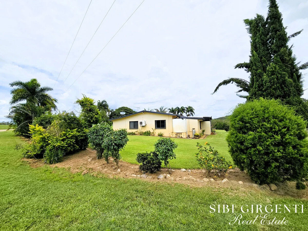 Additional image 8 of 994 Leafgold Weir Road, Dimbulah QLD 4872