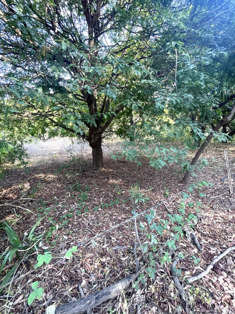 Additional image 29 of 207-217 Wickham Street, Ayr QLD 4807