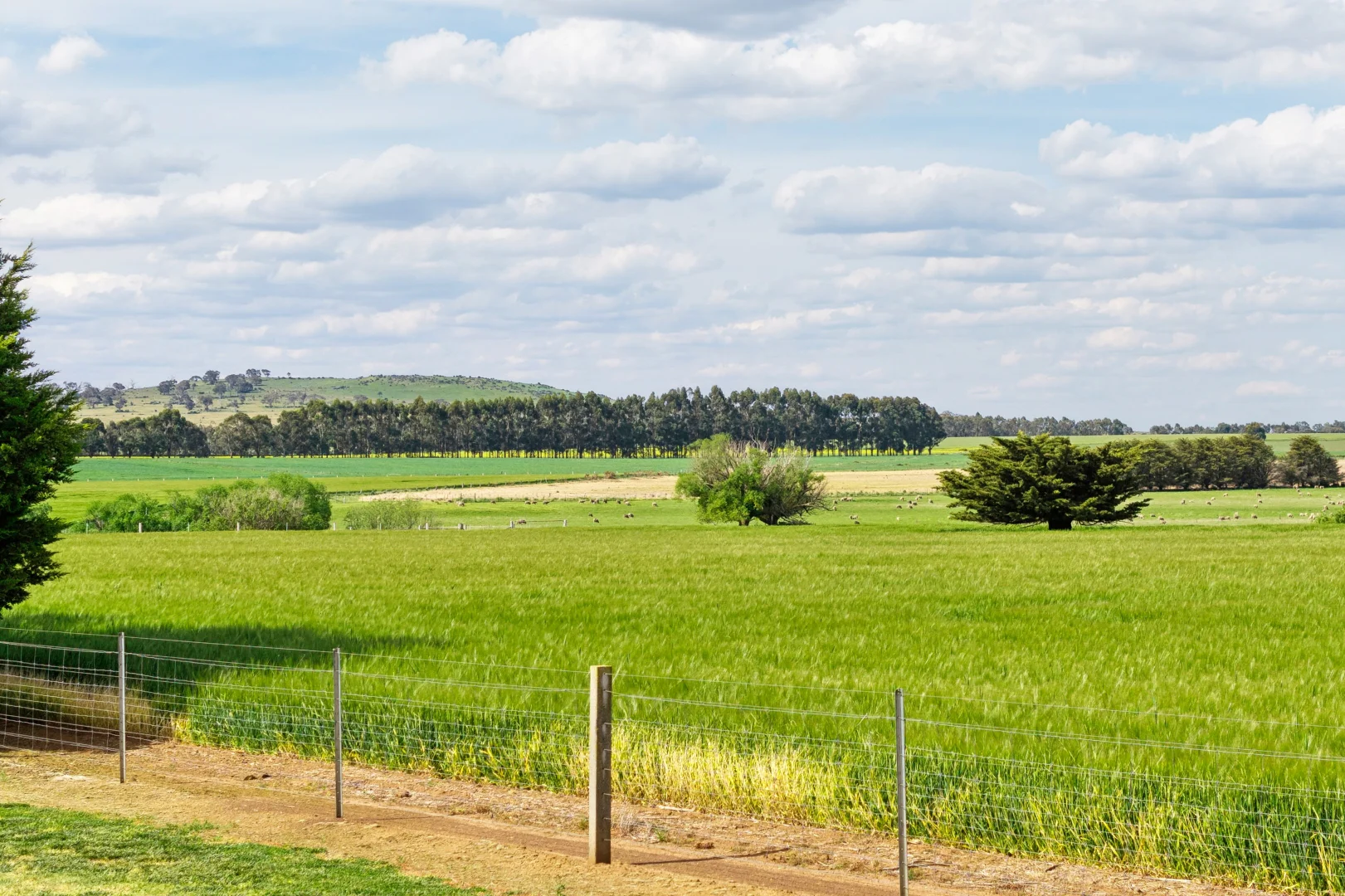 Additional image 20 of 2975 Creswick-Newstead Road, Smeaton VIC 3364