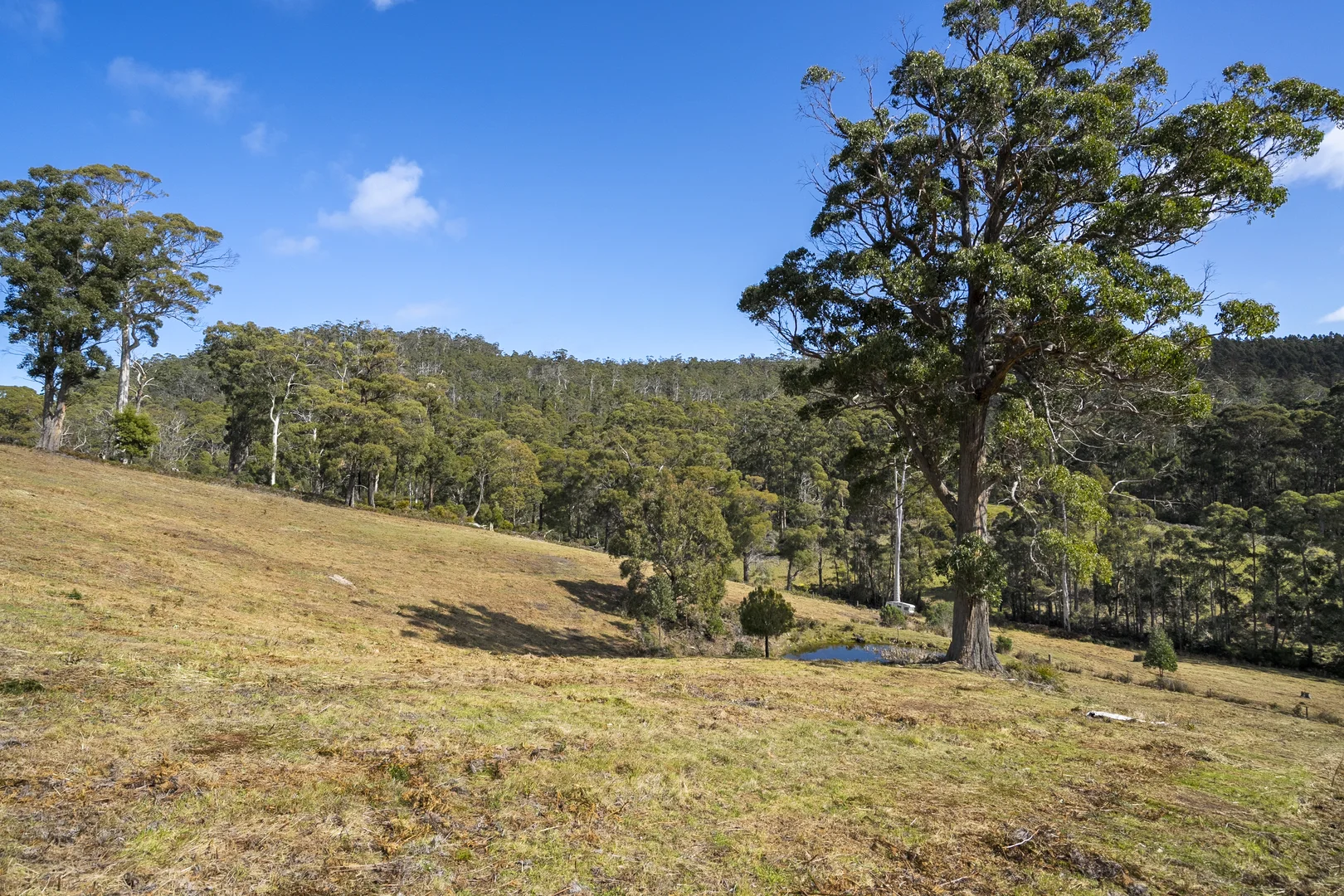 Additional image 20 of 129 Littles Road, Premaydena TAS 7185