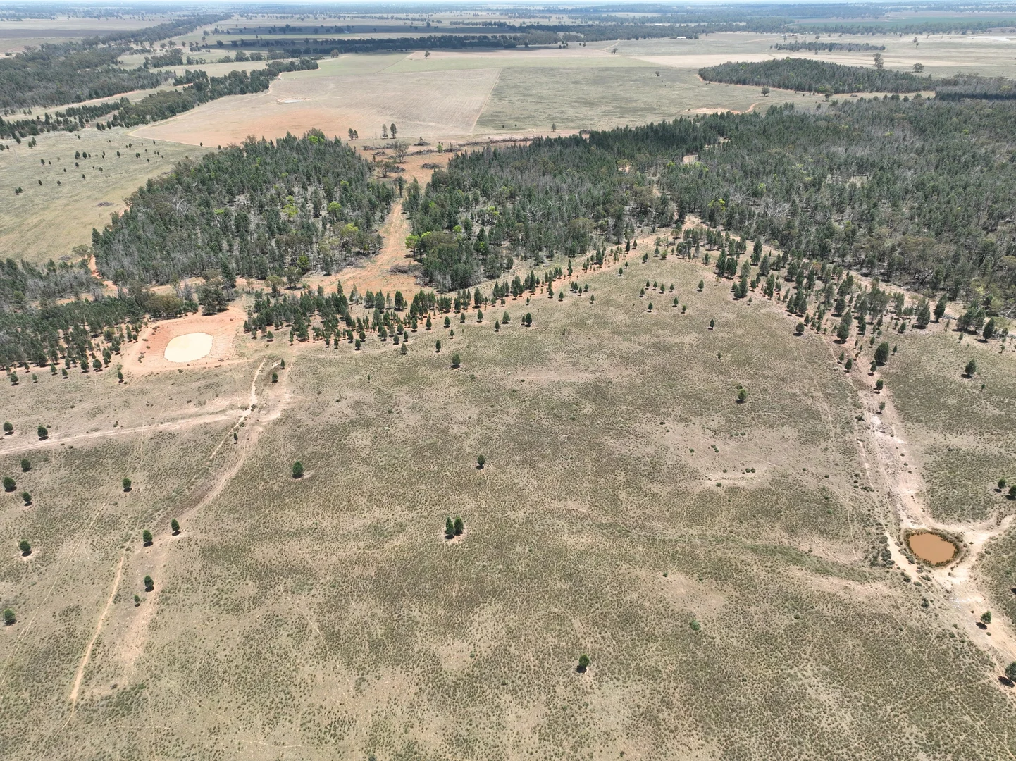 Additional image 8 of 'Illapa' 238L Narromine Road, Dubbo NSW 2830