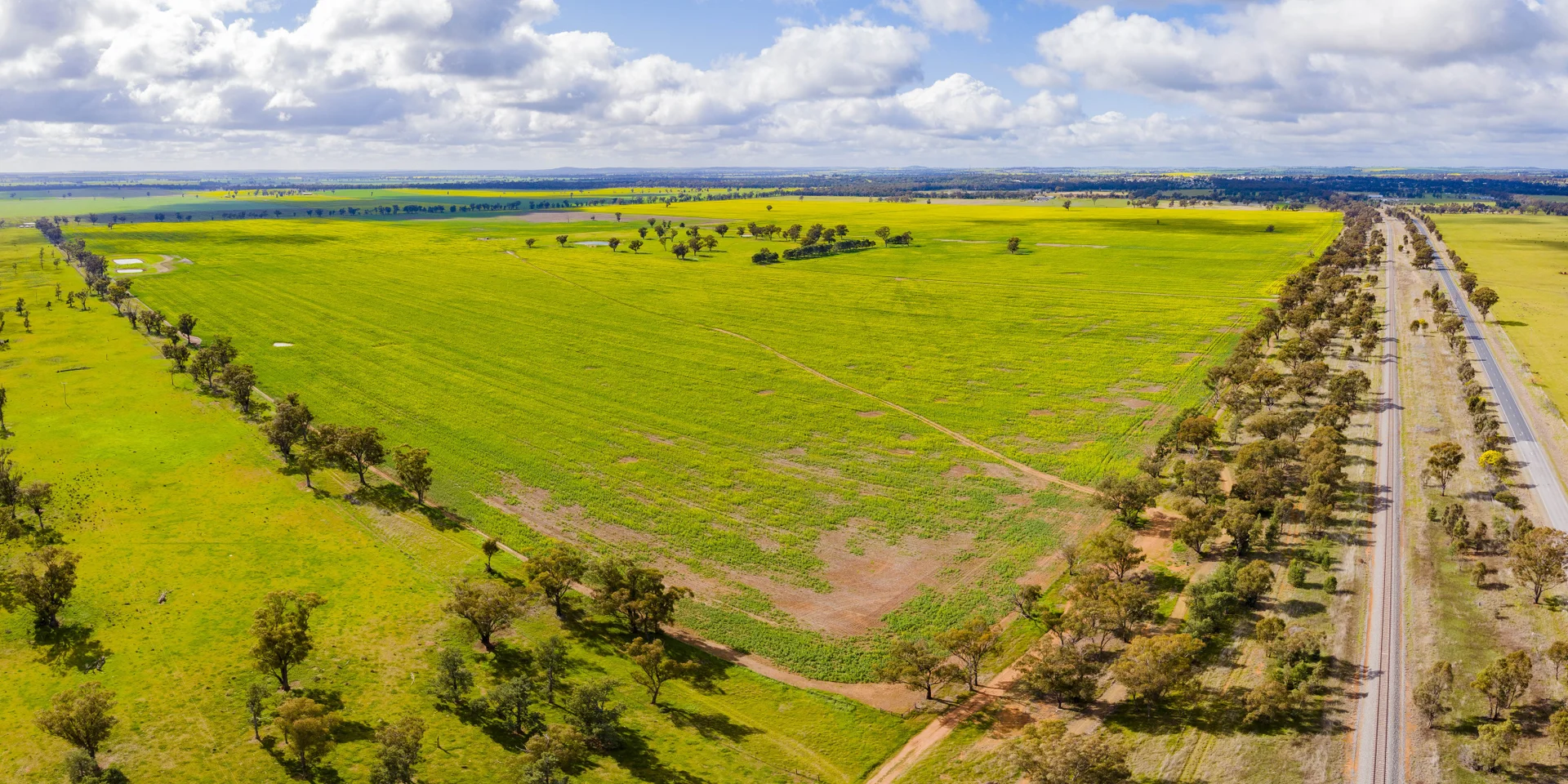 Additional image 6 of Lonsdale Lane, Coolamon NSW 2701
