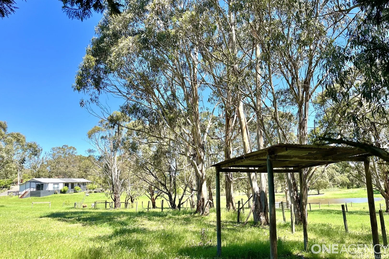 Additional image 18 of 40 Larnach Road, Traralgon VIC 3844