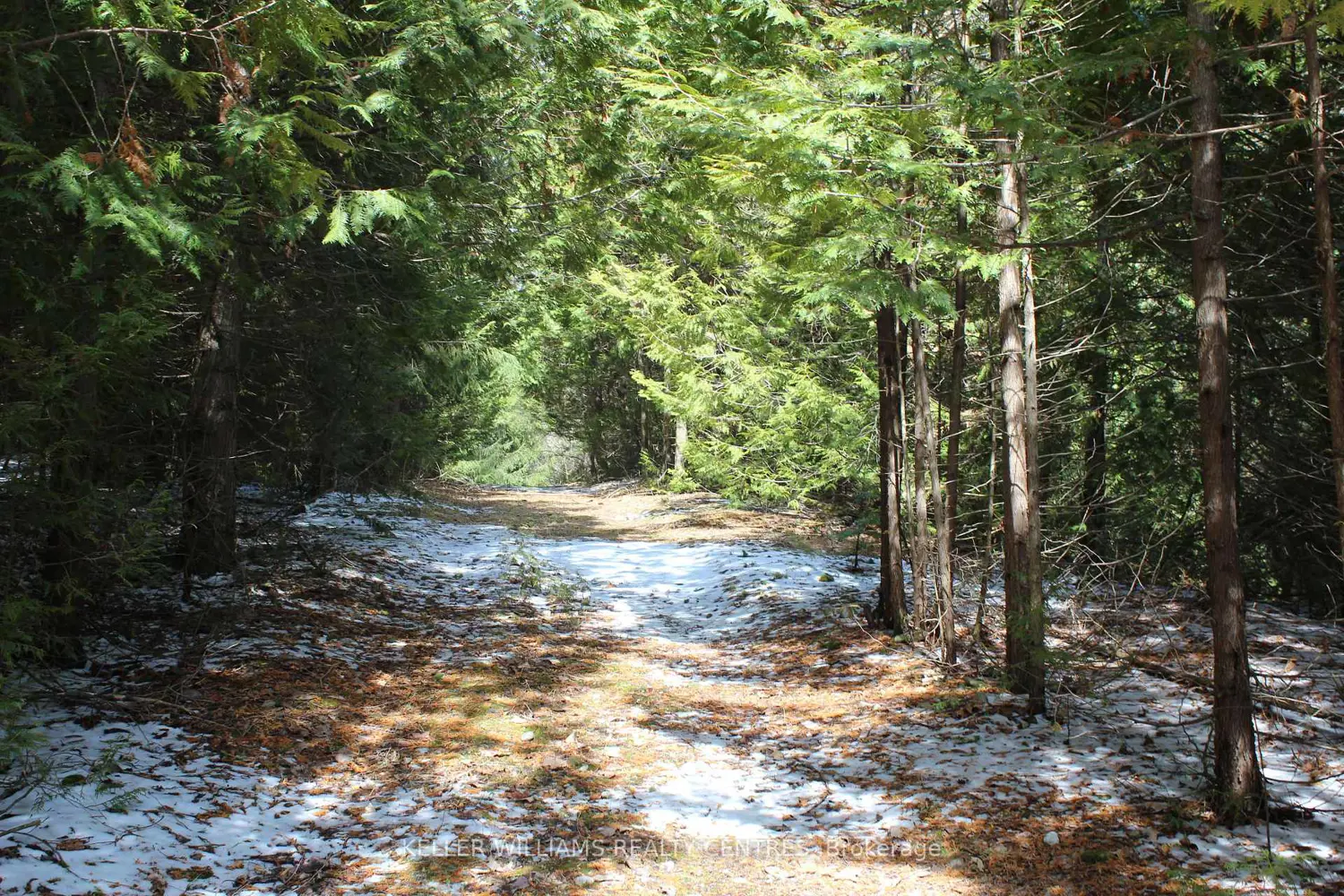 Additional image 5 of Tba Concession Rd 2