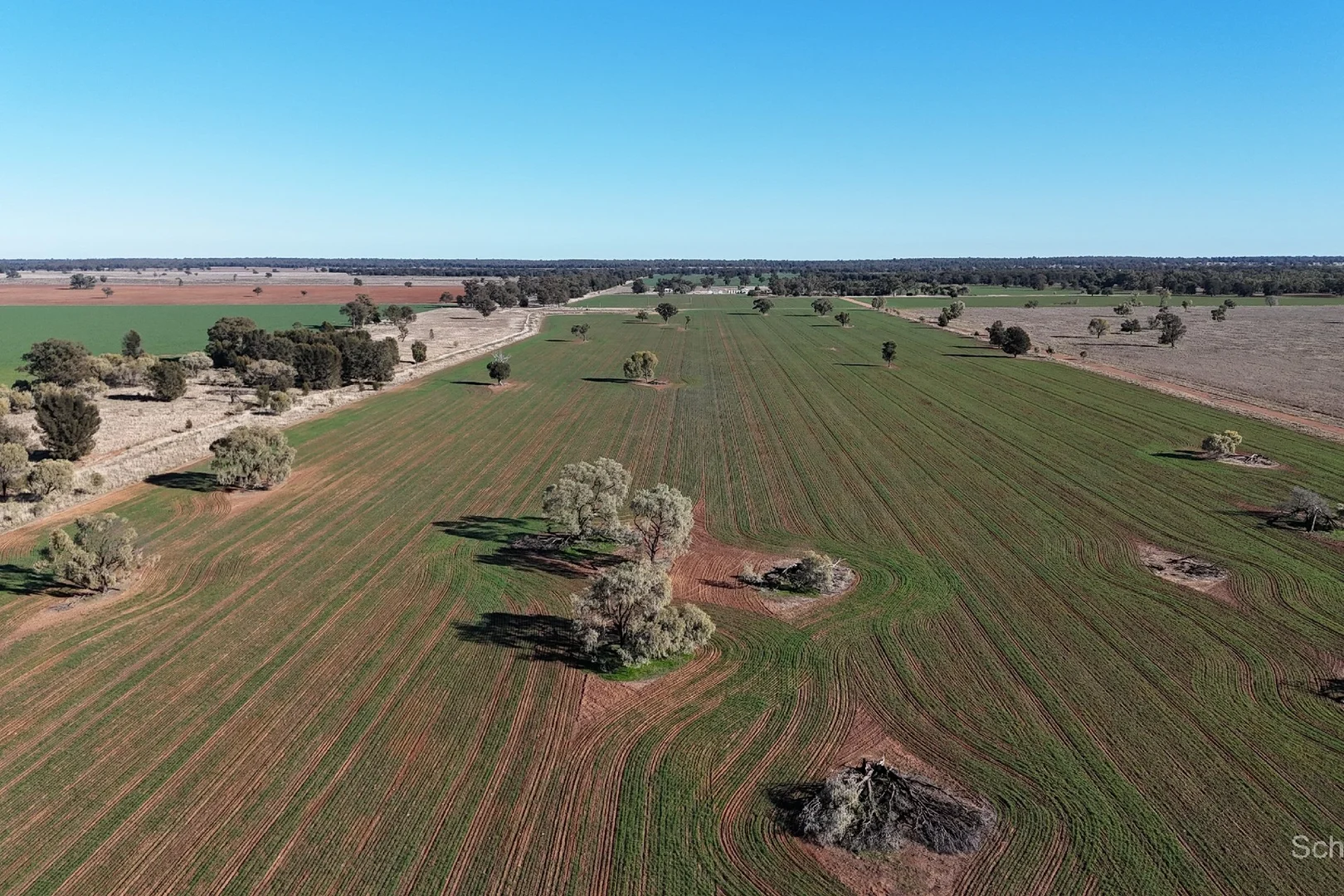 Additional image 8 of 195 Curra Lane, Peak Hill NSW 2869