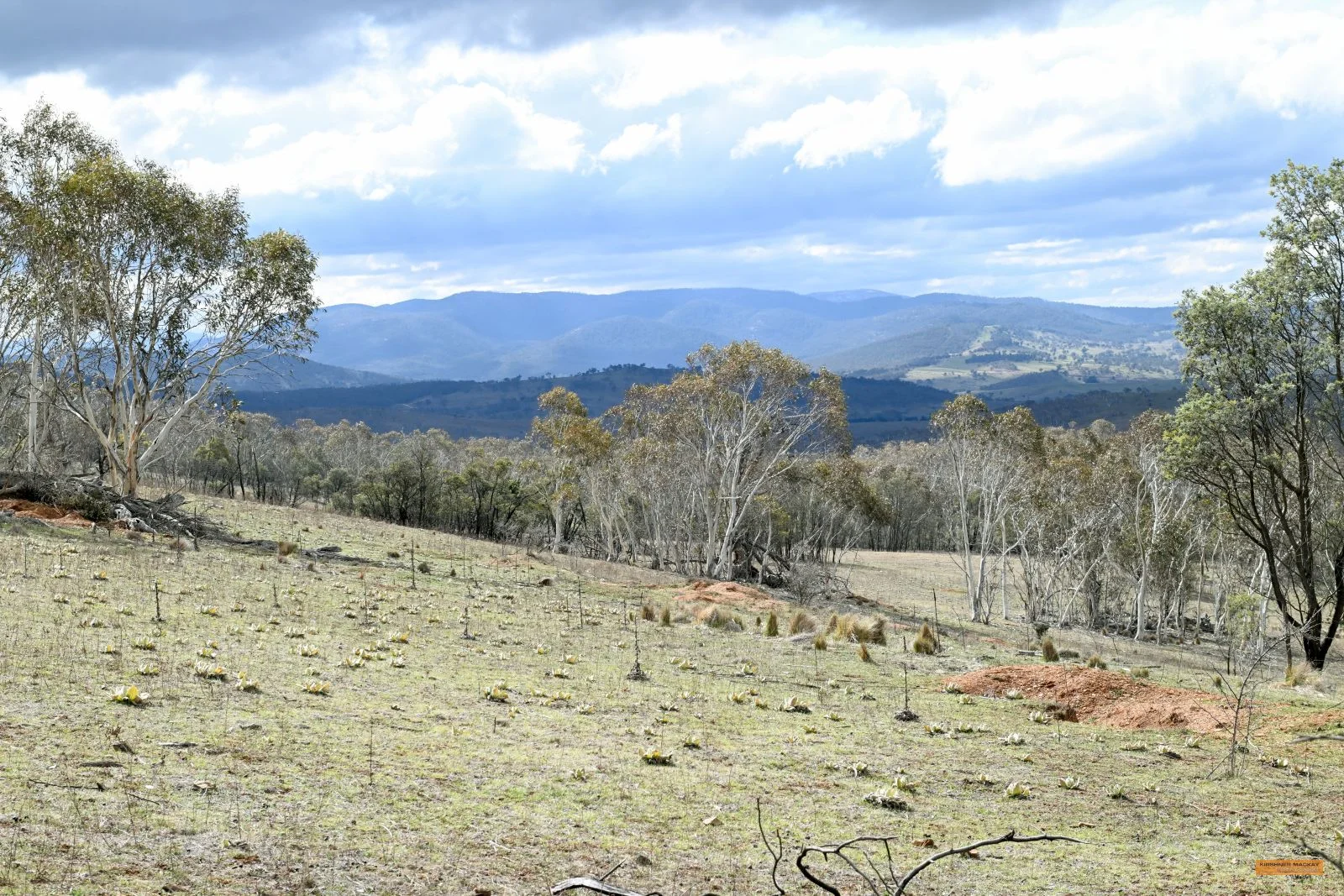 Additional image 37 of "Eagle Heights" 636 Caddigat Road, Dry Plain NSW 2630