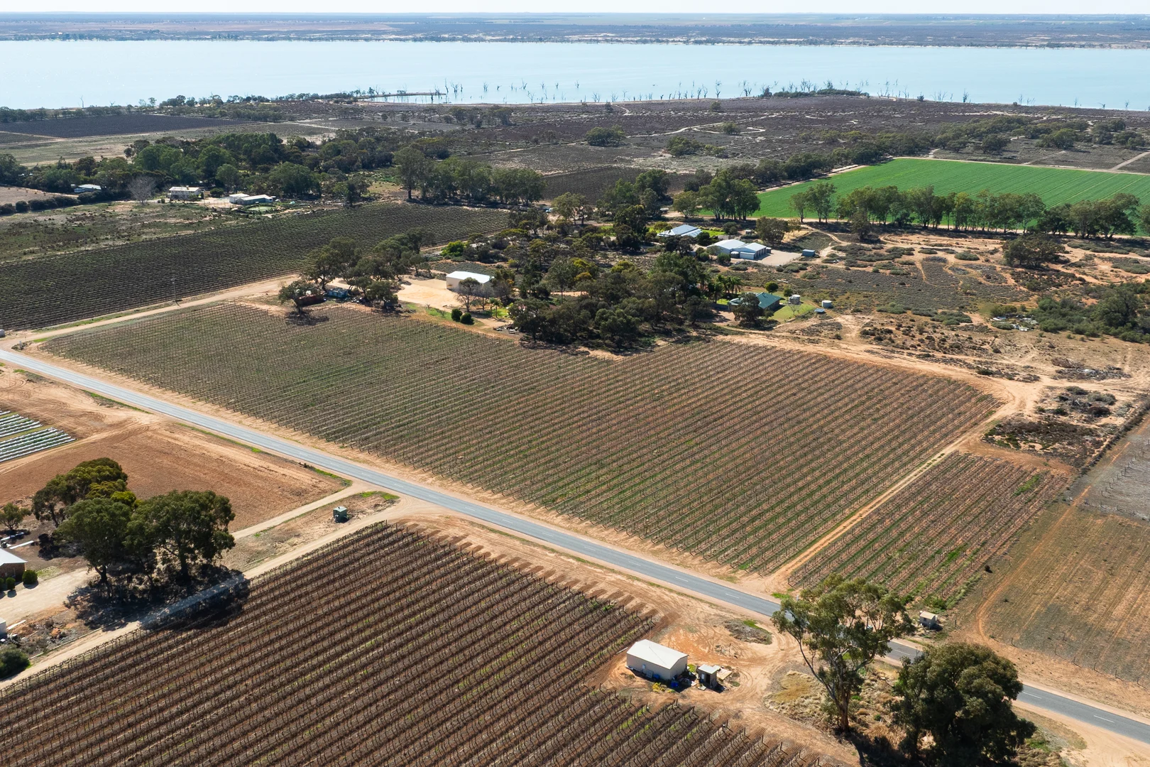 Additional image 4 of Lot 1 Morgan Road, Barmera SA 5345