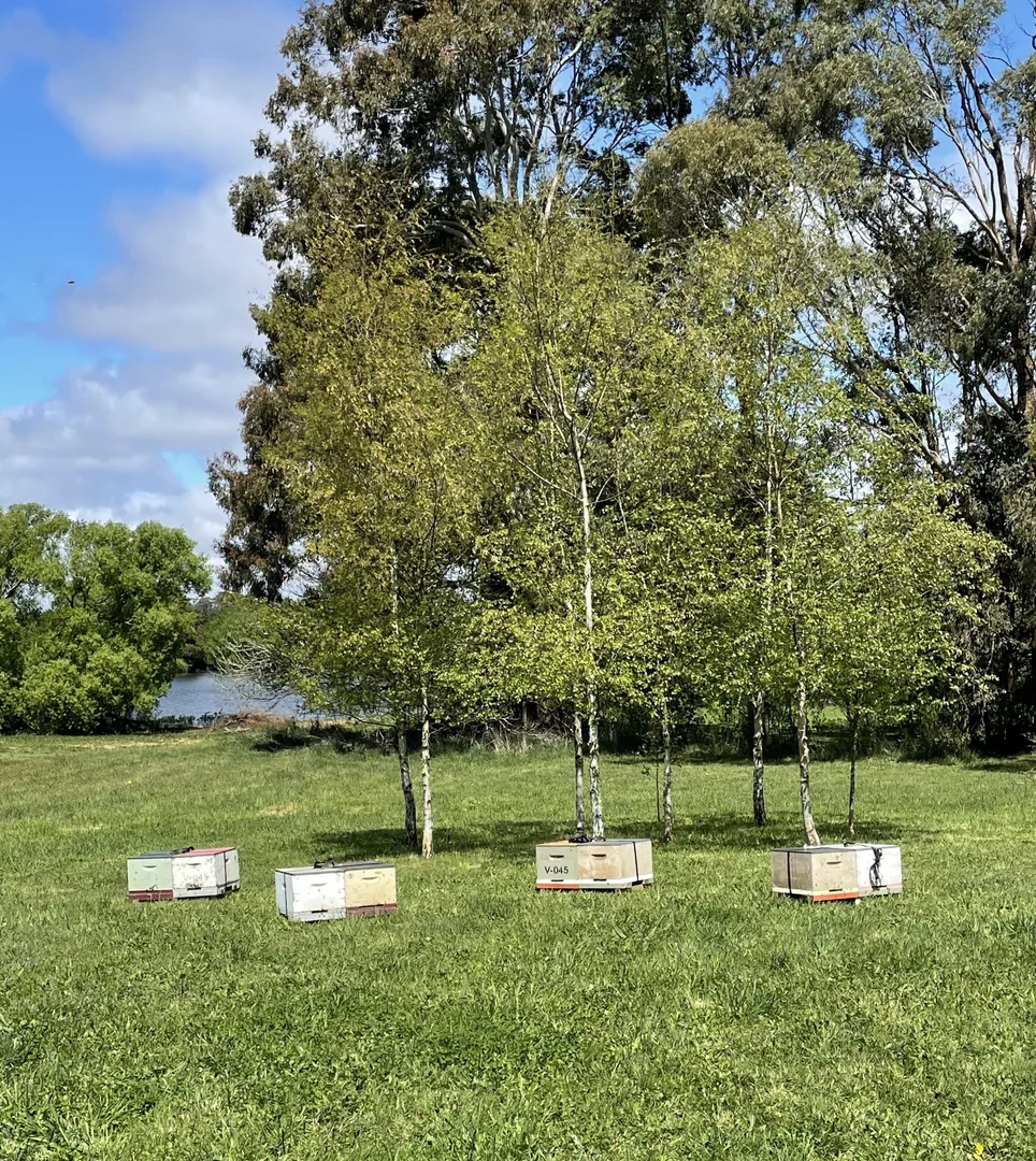 Additional image 27 of 150 Bergs Lane, Trentham East VIC 3458