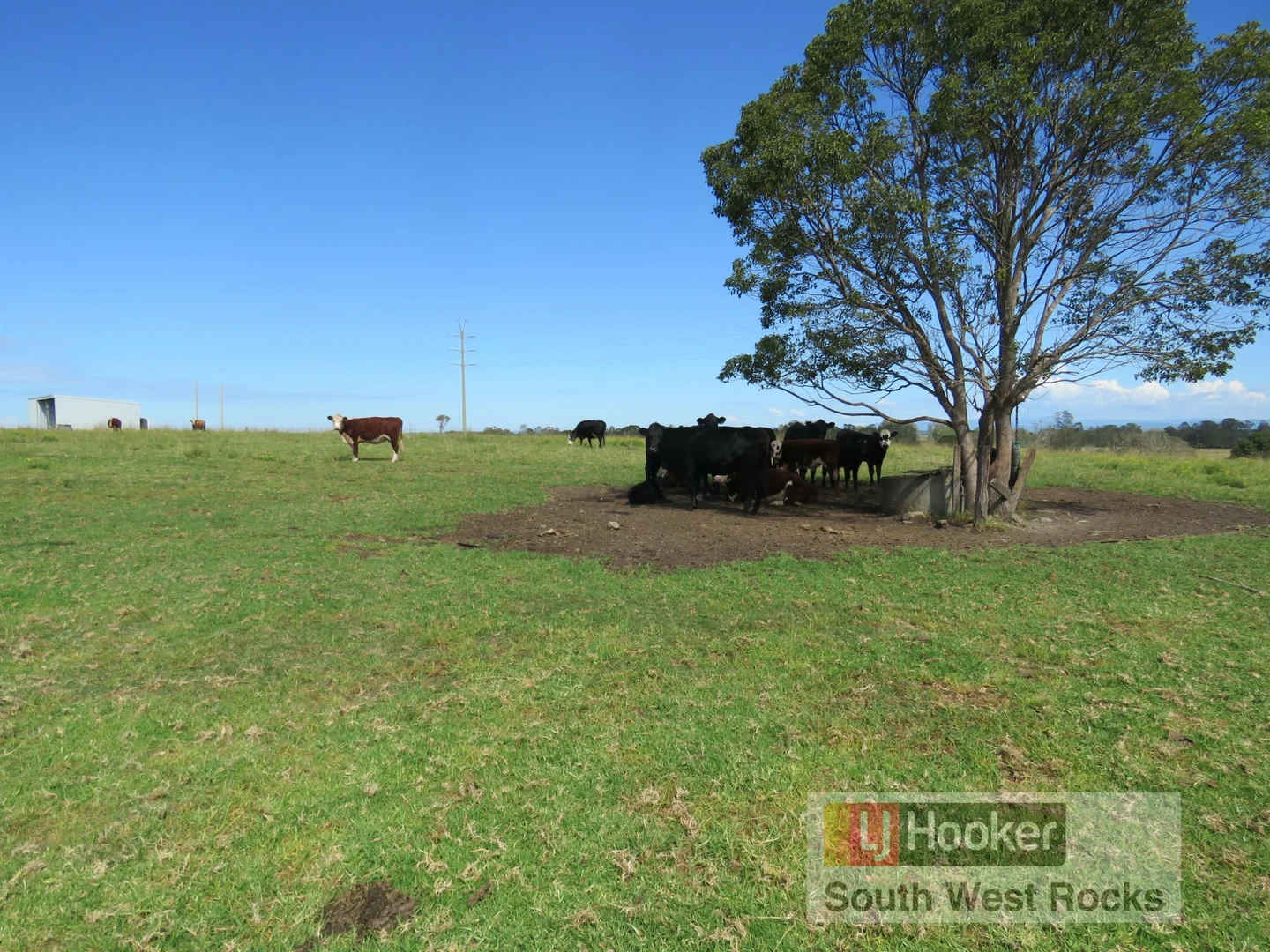 Additional image 36 of 2149 Macleay Valley Way, Clybucca NSW 2440