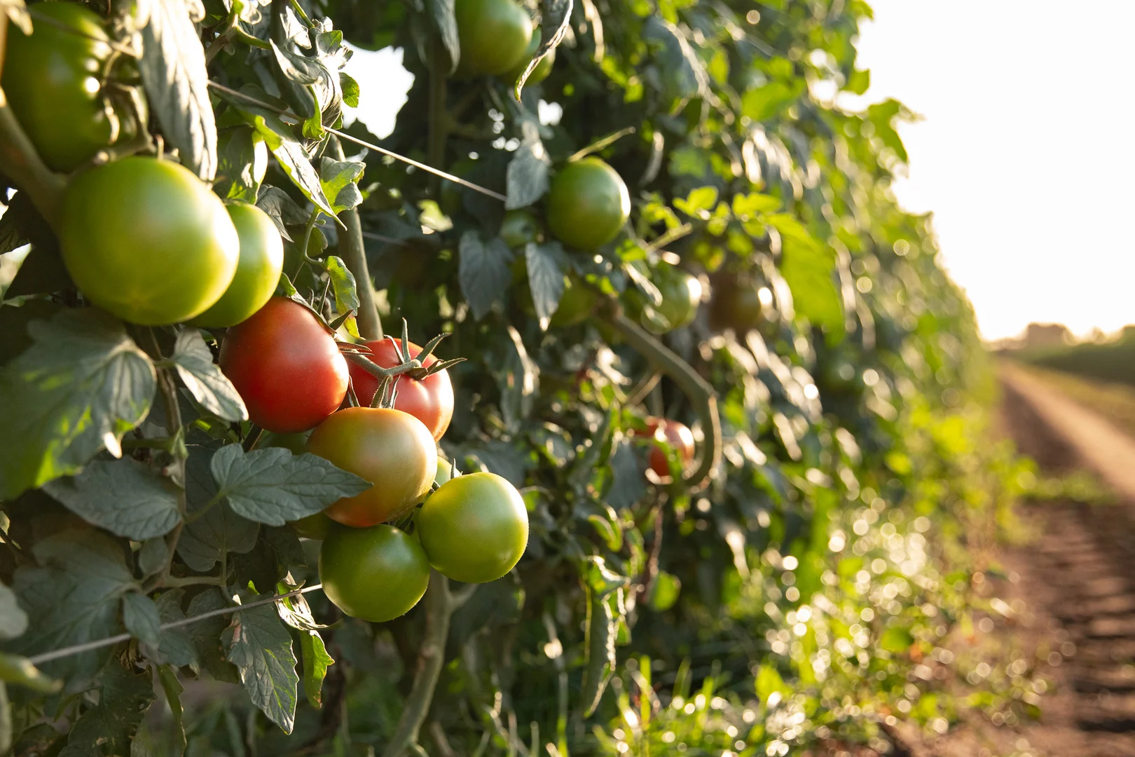 Additional image 3 of 37 Inveroona Road, Bowen QLD 4805