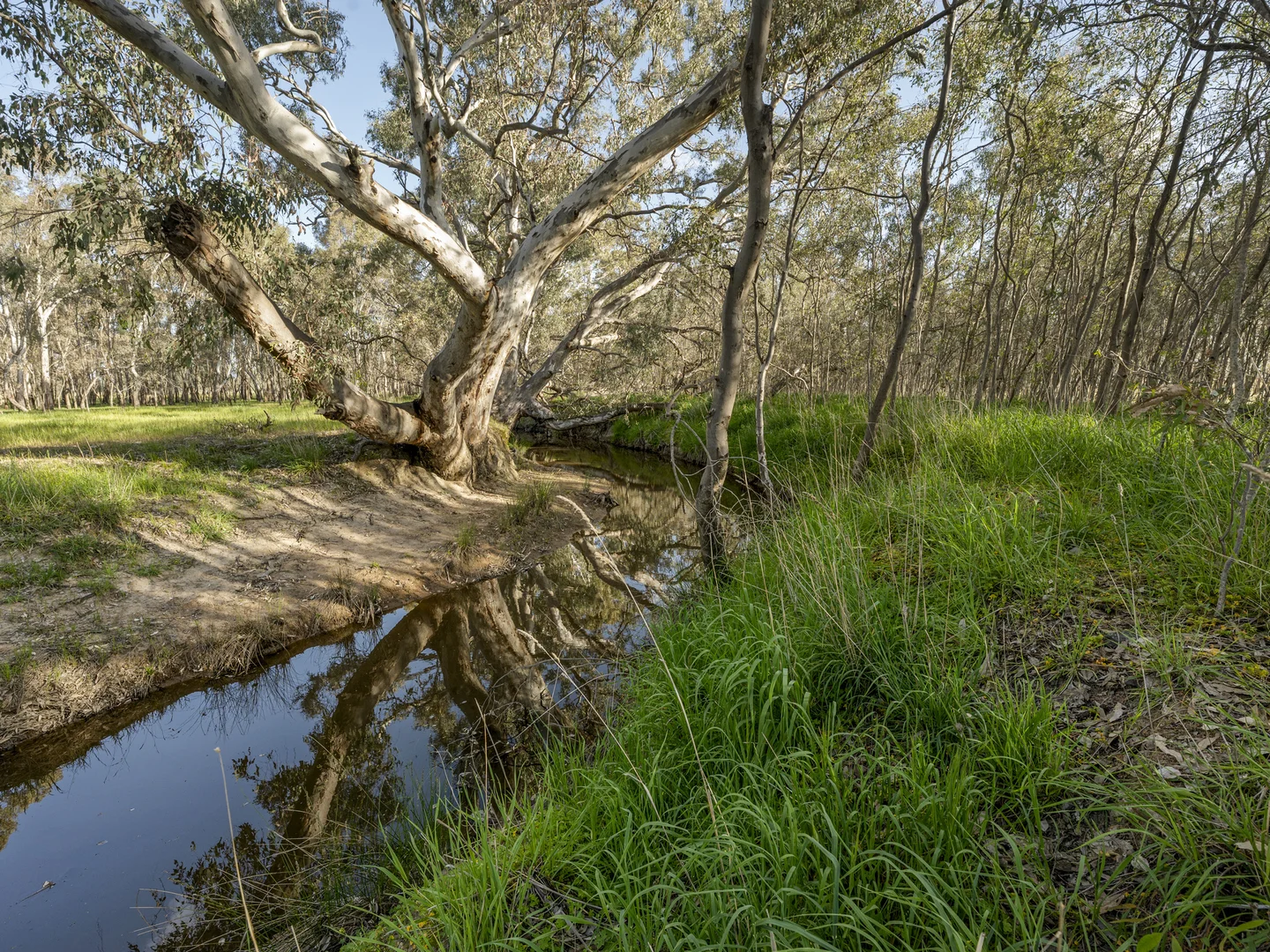 Additional image 14 of 290 Riggs Creek Road, Balmattum via, Euroa VIC 3666