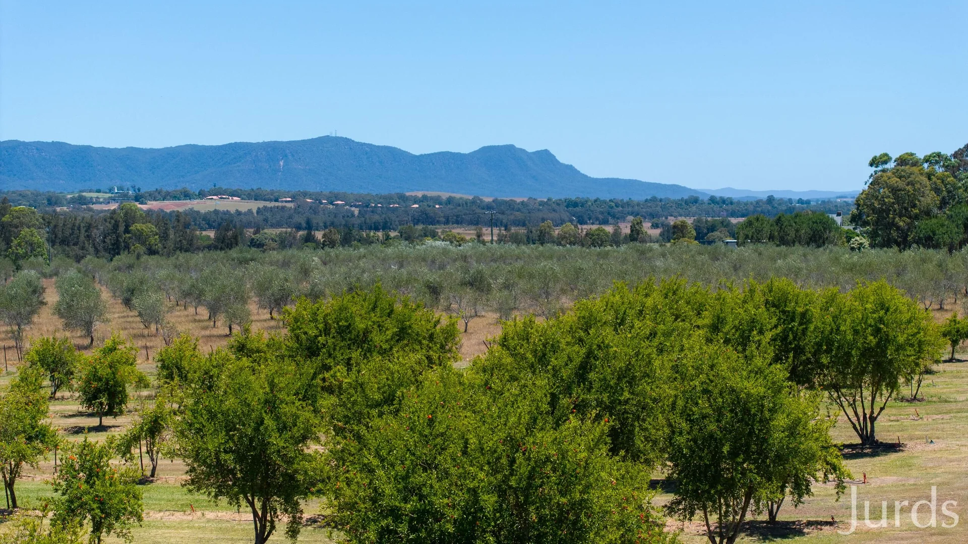 Additional image 2 of 307 Talga Road, Lovedale NSW 2325