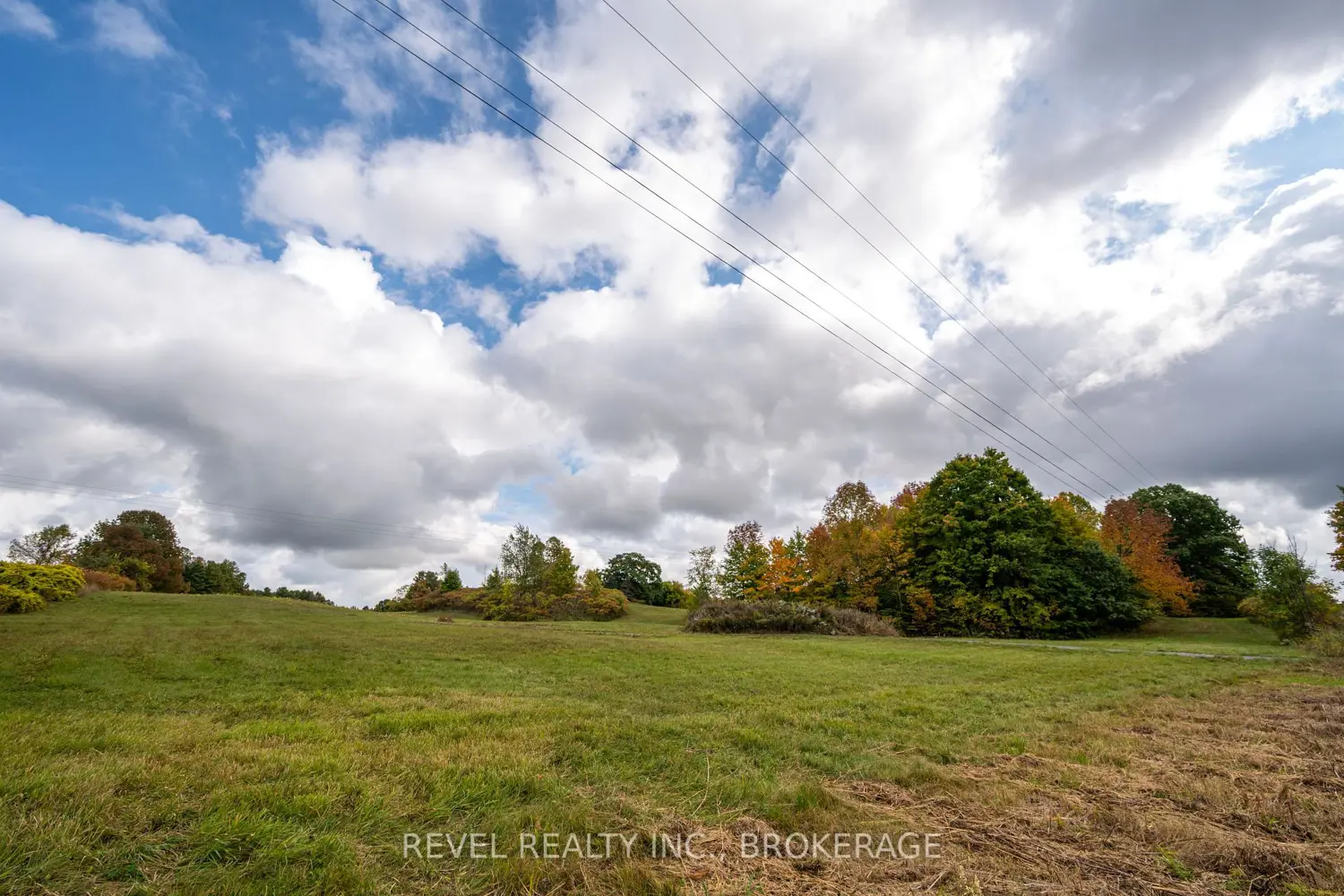 Additional image 11 of 00 Forty Foot Road