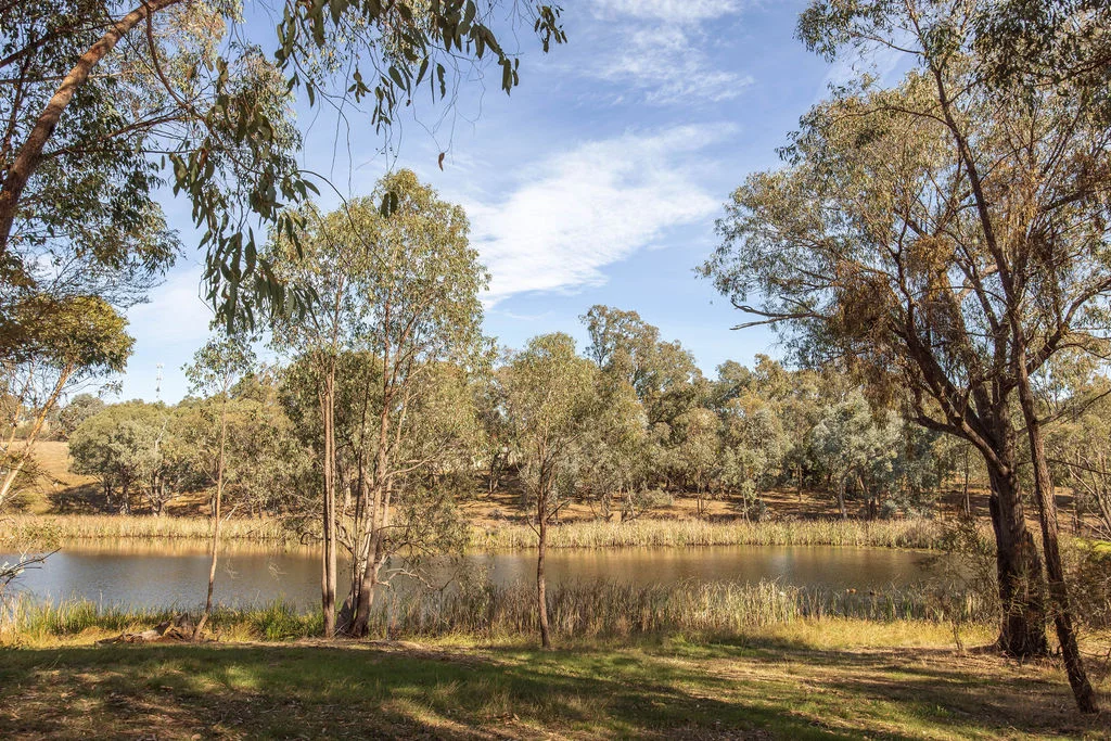 Additional image 28 of 7 Silver Creek Avenue, Yackandandah VIC 3749