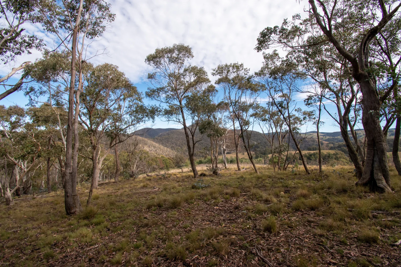 Additional image 14 of 379 Sheepstation Forest Road, Gingkin NSW 2787