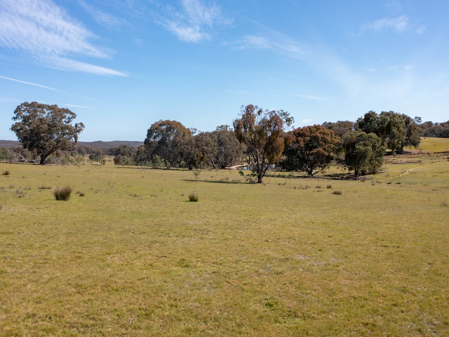 Additional image 4 of 7/7 East Triangle Road, Byawatha VIC 3678