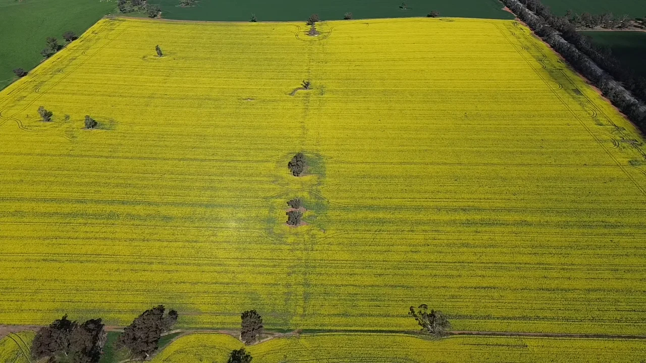Additional image 5 of 2 Coolamon Road, Coolamon NSW 2701