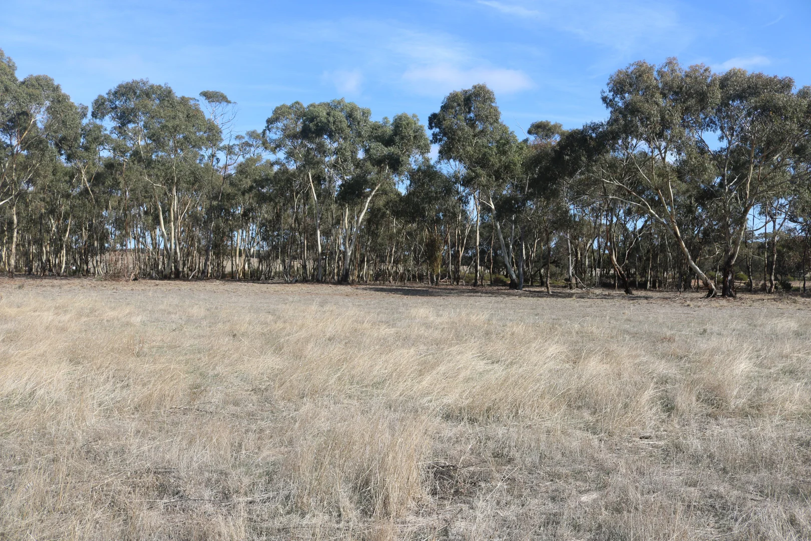 Additional image 11 of Old Boort Road, Wedderburn VIC 3518